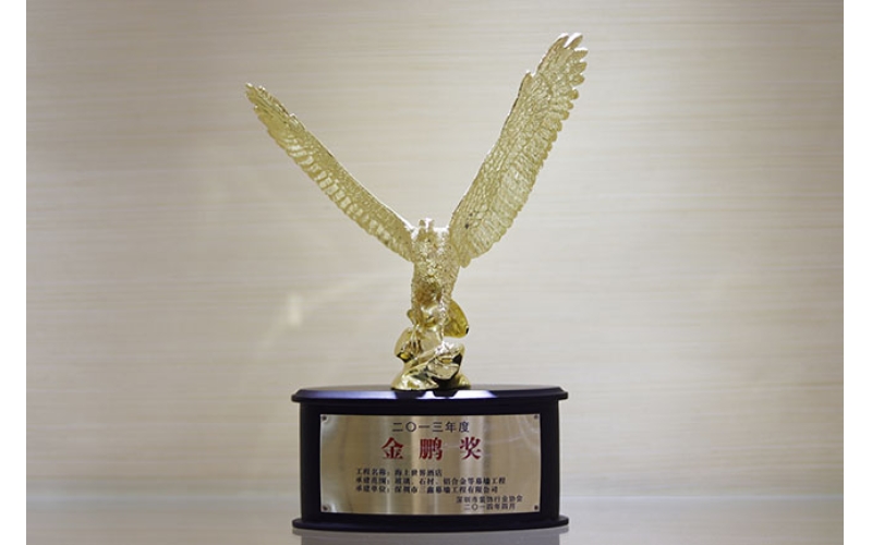 2013年度金鹏奖