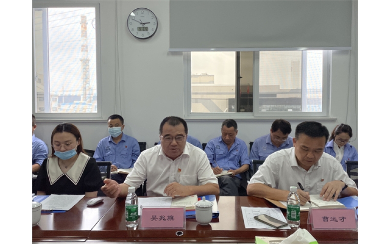 海南控股直属机关党委副书记吴兆旗同志到海南发展调研检查“6+1”工作