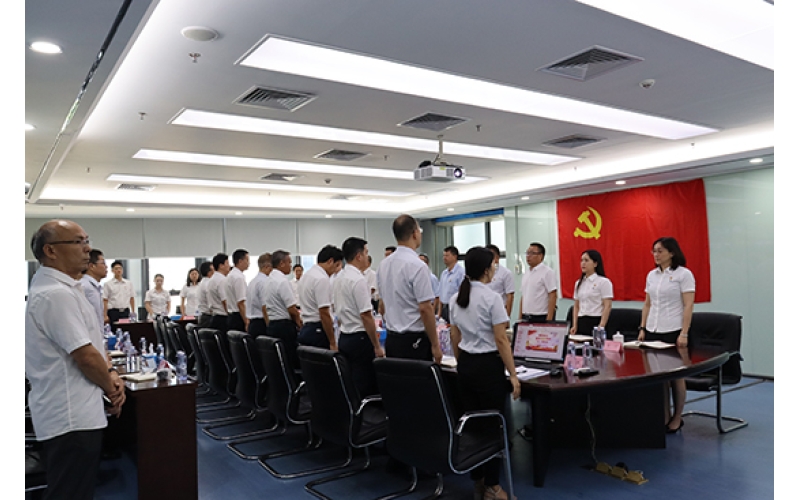 海南发展召开庆祝建党100周年暨“七一”党员大会